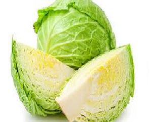 Cabbage